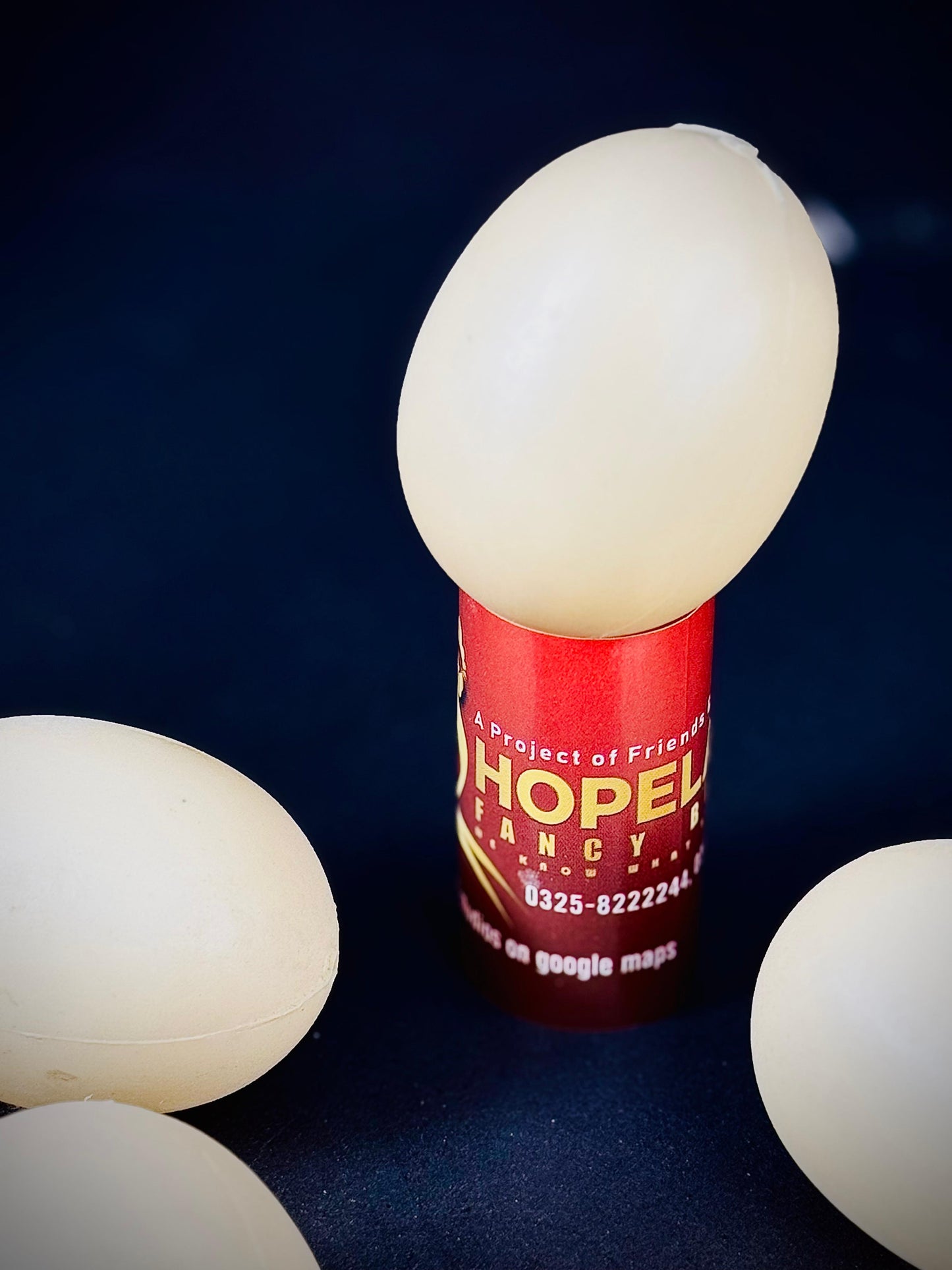 Hopeland Poultry Nesting Training Eggs Pk of 10 – Plastic Dummy Eggs (Pack in Net Bag)